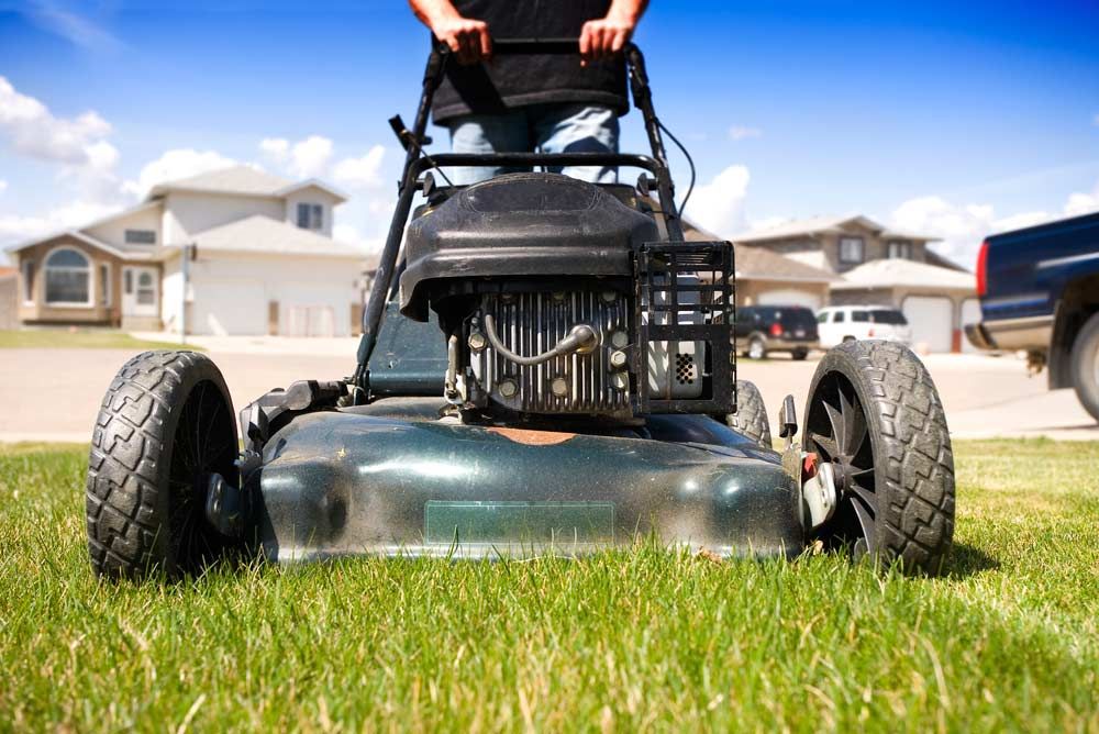 Yard maintenance and mowing